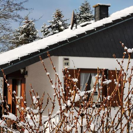 Bb19 Eifel-Ferienhaus Am Moseltal Mit Saunahaus Beuren  Εξωτερικό φωτογραφία