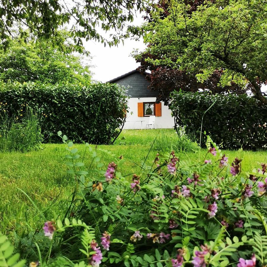 Bb19 Eifel-Ferienhaus Am Moseltal Mit Saunahaus Beuren  Εξωτερικό φωτογραφία