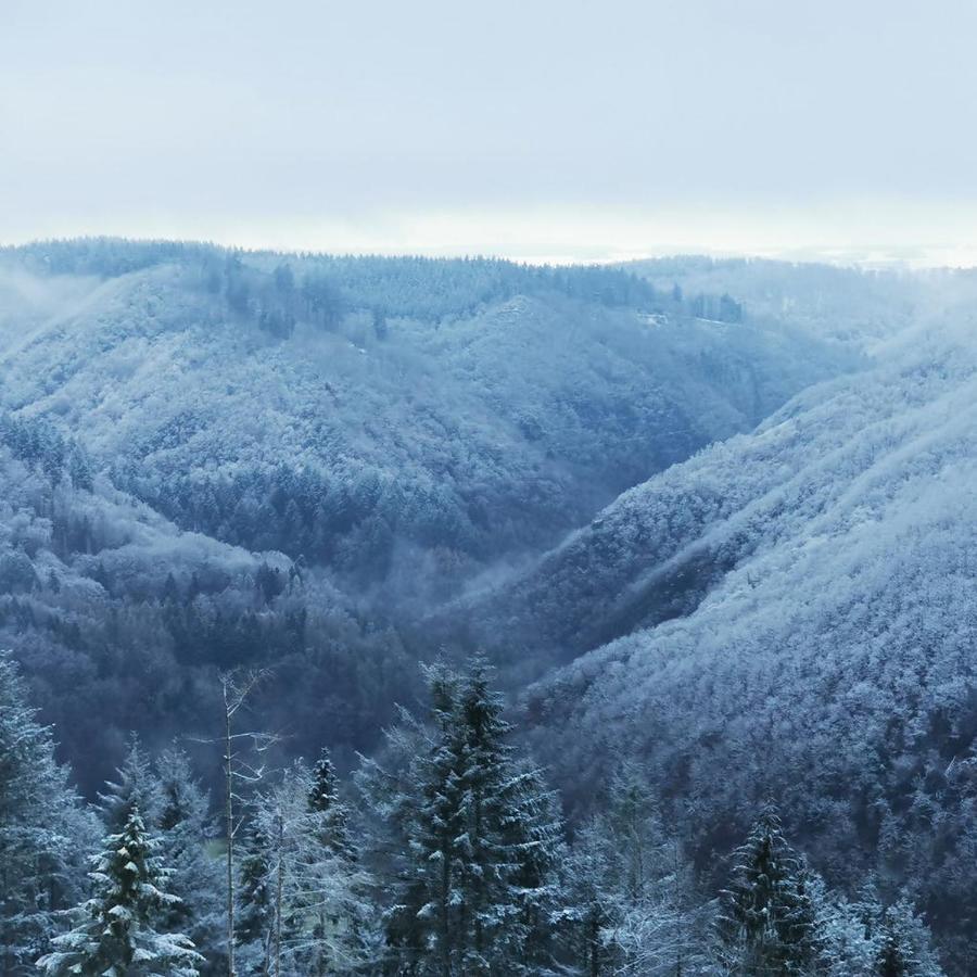 Bb19 Eifel-Ferienhaus Am Moseltal Mit Saunahaus Beuren  Εξωτερικό φωτογραφία